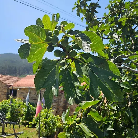 Ribanca Village Holiday home Destriz