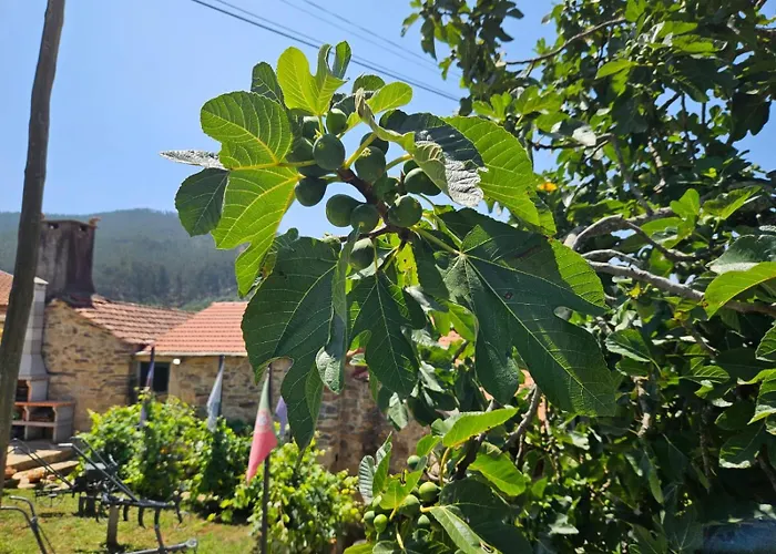 Ribanca Village Сasa de vacaciones Destriz